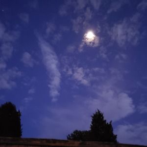 Meet your Posher, Earl